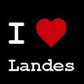 I love Landes