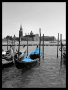 Blue Venice